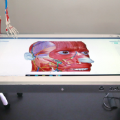 Table d’anatomie numérique